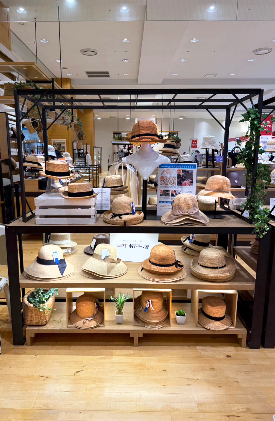 20250807京急田中帽子店内05