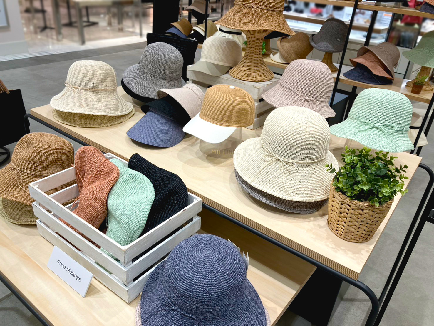 Aqua博多大丸 2.1